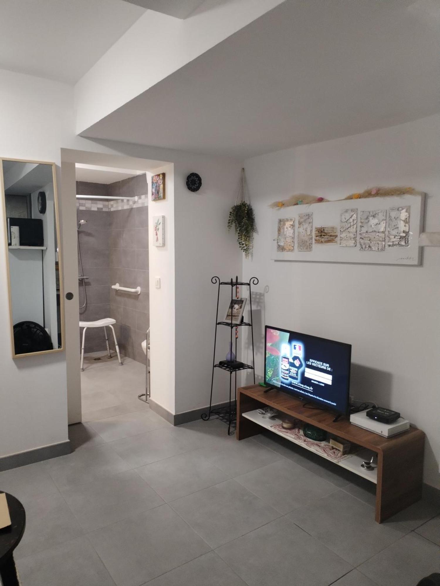 Magistic Handi Perpignan Luaran gambar
